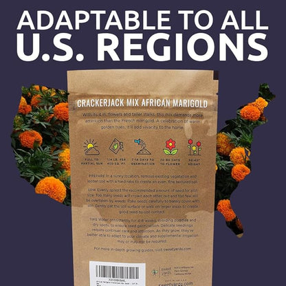 African Marigold Seeds Crackerjack Mix - Bulk 1/4 Pound Bag - Over 40,000 Seeds - Huge Orange and Yellow Blooms