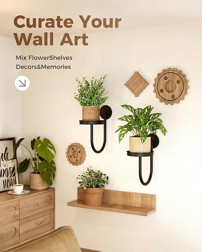 Leaf&lull Wall Plant Holder Planter with Wall Planters for Indoor Plants Plant Hanger Hanging Plant Holder Wall Hanging Decor 2 Pack Black