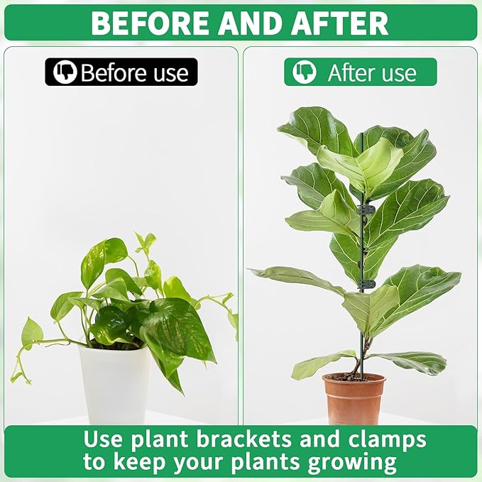 20pcs 15.7" Plant Stakes with 30pcs Clips, Bendable Orchid Stakes and Clips Set Support Tall for Indoor/Outdoor Plants,Potted Plants,Single Stem Vines Flower Plant Support Sticks for Orchid Rose Peony