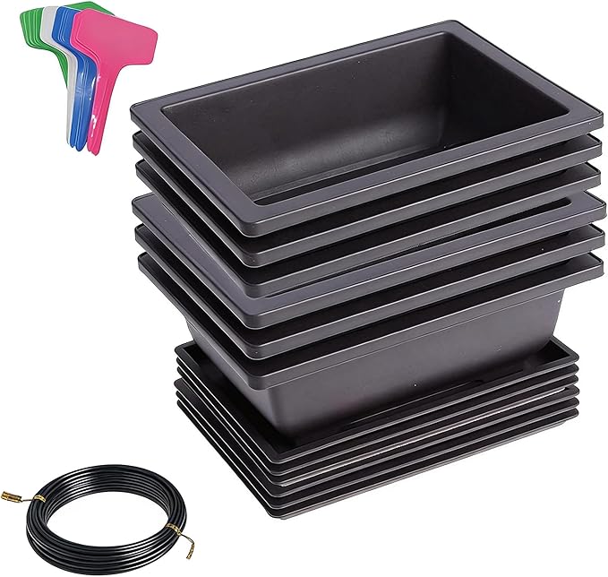 6 Packs Bonsai Training Pots with Trays 6.3 Inch Nursery Pots with Drainage Plastic Bonsai, Come with 12pcs Plant Labels, Rectangle Bonsai Flower Growing for Home Garden, Yard, Balcony, Office (s)