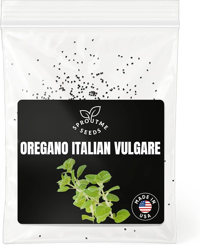 Oregano Common Italian Seeds for Planting – 400+ Non-GMO Heirloom Culinary Herb Seeds (Origanum vulgare)