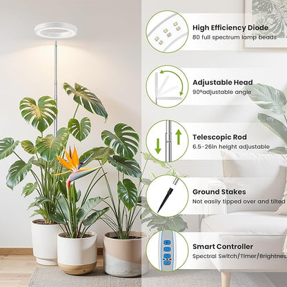 White Grow Light, Full Spectrum LED Plant Lighs for Indoor Growing with 6/12/16H Timer, 3 Color Modes, 5 Brightness, 10"-60" Height Adjustable Plant Lamp for Tall Indoor Plants (3 Pack)