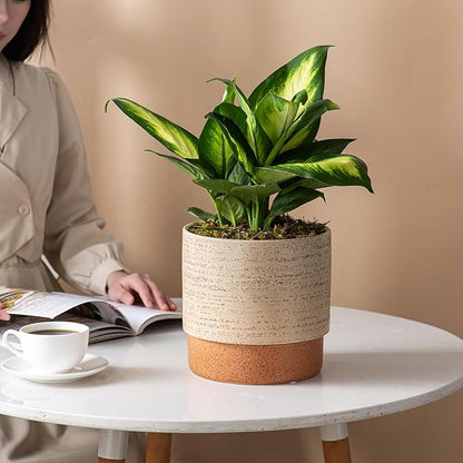 Self Watering Ceramic Planter: 8 Inch Plant Pot with Drainage Hole & Water Storage Plus for Outdoor & Indoor Plants, Succulents, Herbs - Flower Pot for Home or Office Decor - Brush