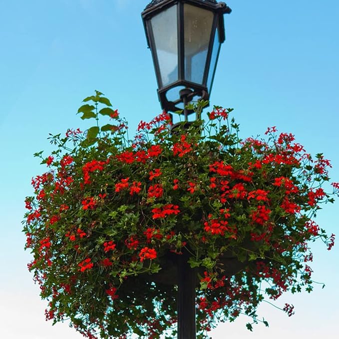 4PCS Coco Liner for Hanging Basket - 10 Inch Round - 100% Natural Planter Liner Replacement