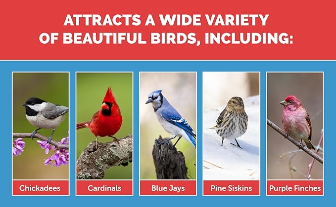 Pennington Select Birder's Blend, Wild Bird Seed Mix, Wild Bird Seed for Outside Feeders, 15 lbs