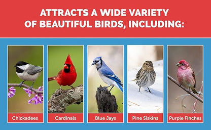 Pennington Select Birder's Blend, Wild Bird Seed Mix, Wild Bird Seed for Outside Feeders, 15 lbs