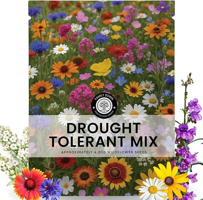 Drought Tolerant Mix – 4,000 Seeds for Planting – 2026 Season – 5 Gram Pouch