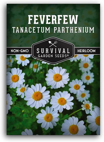 Feverfew Seeds for Planting - Perennial Daisy-Like Flower Herb, Pollinator Friendly Garden, Easy to Grow Traditional Herb - Heirloom Non-GMO Open Pollinated - Survival Garden Seeds (1 Pack)