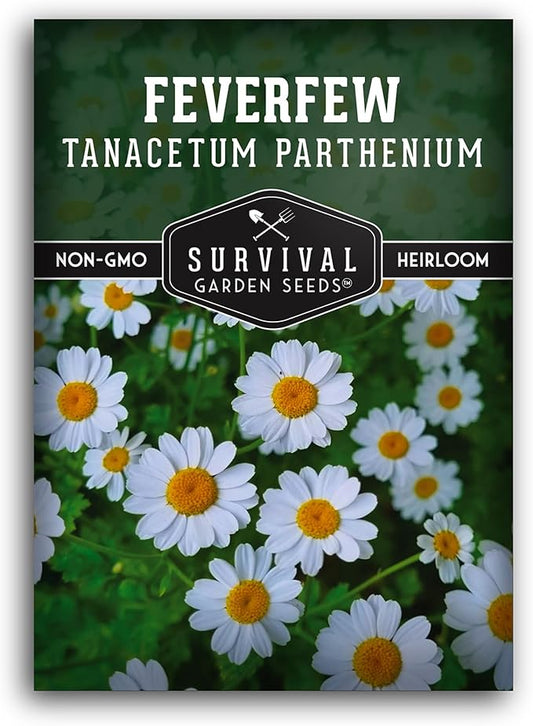 Feverfew Seeds for Planting - Perennial Daisy-Like Flower Herb, Pollinator Friendly Garden, Easy to Grow Traditional Herb - Heirloom Non-GMO Open Pollinated - Survival Garden Seeds (1 Pack)