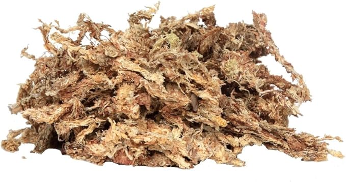 ™Peruvian Sphagnum Moss by Orchid Nerd ® (Peruvian Sphagnum Mos, 150 Grams)