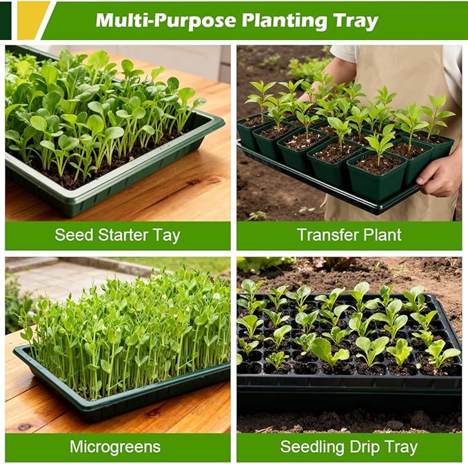10 Pack Heavy Duty 1020 Trays No Holes - 1.6 Inch Deep Shallow Nursery Flats, Reusable Seed Starter Trays for 72/128 Cell Inserts, Microgreens, Seedling and Hydroponics (Dark Green)