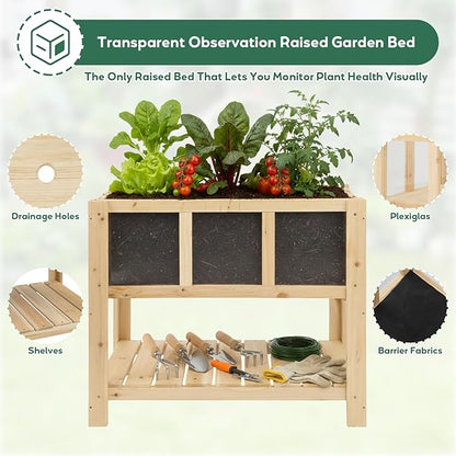 PetsCosset Small Transparent Raised Garden Bed with Legs, Compact Planter Box Stand with Observation Panels & Storage Shelf for Balcony, Patio, Small Spaces (Natural Wood)