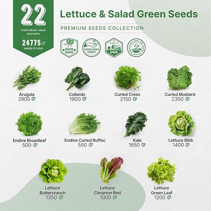 Organo Republic 22 Lettuce & Salad Greens Seeds Variety Pack 24,700+ Non-GMO Heirloom Lettuce Seeds for Indoor & Outdoor Garden, Hydroponic & Aeroponic - 2026 Season - Arugula, Spinach, Swiss Chard