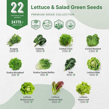 Organo Republic 22 Lettuce & Salad Greens Seeds Variety Pack 24,700+ Non-GMO Heirloom Lettuce Seeds for Indoor & Outdoor Garden, Hydroponic & Aeroponic - 2026 Season - Arugula, Spinach, Swiss Chard