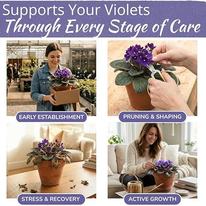 African Violet Fertilizer | Premium Liquid Plant Food for Strong Roots & Lush Blooms | Gentle, Balanced 3-3-3 Formula with Essential Micronutrients | Sea Kelp, Humic & Fulvic Acid | Made in USA | 8 oz