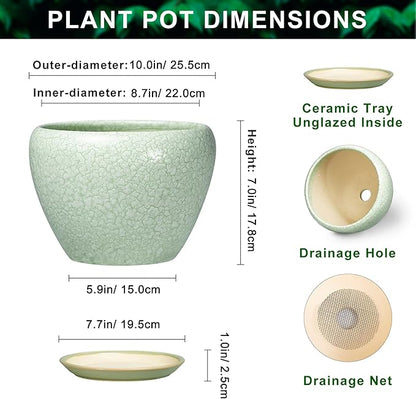 10 Inch Planter - Ceramic Plant Pots for Indoor Outdoor Plants, Indoor Pots for Plants with Drainage Hole and Saucer, Round Planter, Room Decor, Gifts for Plant Lovers, Crackle Light Green