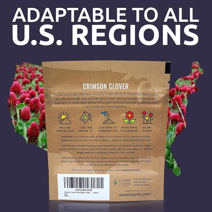 Crimson Clover Seeds – Extra Large Packet – Over 5,000 Open Pollinated Non-GMO Seeds – Trifolium incarnatum