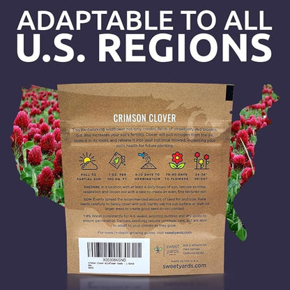 Crimson Clover Seeds – Extra Large Packet – Over 5,000 Open Pollinated Non-GMO Seeds – Trifolium incarnatum