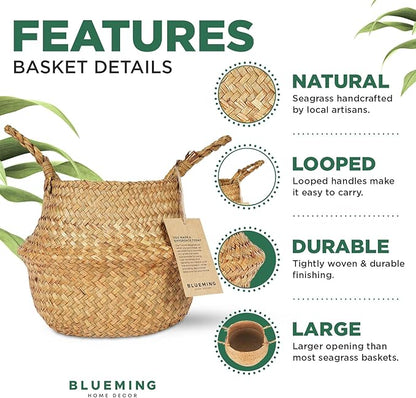 Basket Planter for Indoor Plants – 7 Inch Small Woven Wicker Pot for Olive Tree, Faux Plants, or Snake Plant, Handwoven Seagrass Basket with Handles (Original, Small)