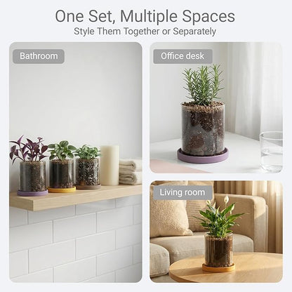 3-Pack 4 Inch Clear Glass Plant Pots with Drainage and Ceramic Trays, Indoor Herb Planters for Home Office, Succulents & Small Plants (Soft 3 Colors)