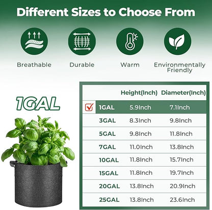 T4U 1 Gallon Grow Bags, Upgrade Grow Bags with Handles, Heavy Duty Thickened Nonwoven Fabric Pots, 1 Gallon Pots for Plants, Herb, Mint, Thyme (5 Pack)