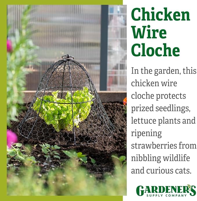 Gardener’s Supply Company Sturdy Chicken Wire Cloche Plant Protector Cover | Sturdy Metal Cage Garden Protection for Your Plants & Seedlings | 16" in Diameter x 12-1/2" H - Black