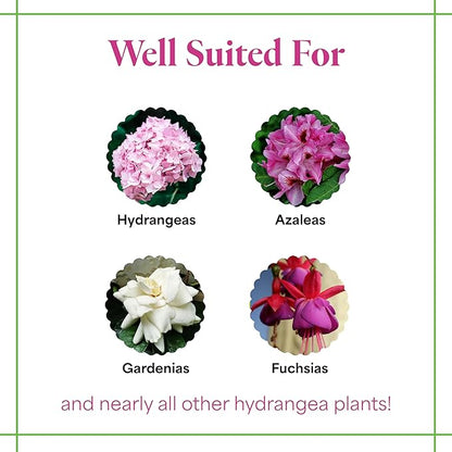 Grow More Hydrangea Blueing Formula - 2lbs of USA-Made Soil Acidifier for Hydrangeas, Azaleas, Gardenias, & Many More - Contains Aluminum Sulfate That Enhances Color Change for Soil and Potted Plants
