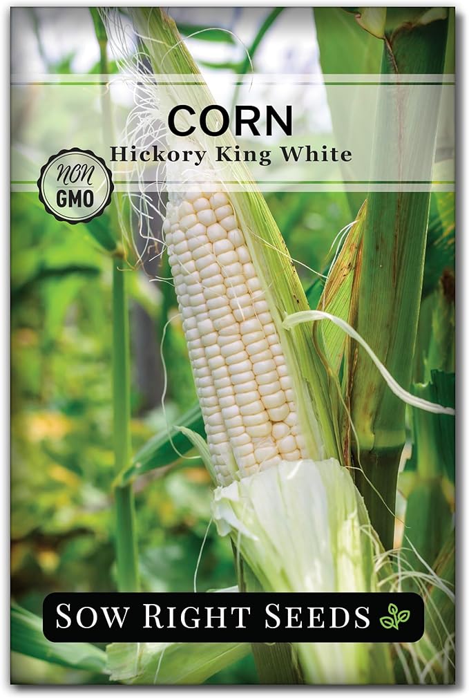 Sow Right Seeds - Hickory King White Corn Seeds for Planting - Non-GMO Heirloom Packet with Instructions to Plant & Grow an Outdoor Home Vegetable Garden - Rare Cream Color, Large Stalks and Ears (1)