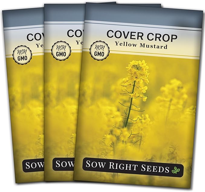 Sow Right Seeds - Yellow Mustard Seed for Planting - Cover Crops to Plant in Your Home Garden - Enriches Soil - Suppresses Weeds - Cold Hardy - Non-GMO Heirloom Seeds - Great Gardening Gift (3)