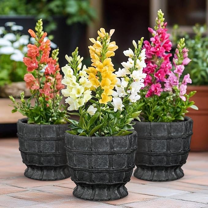 6" Black Ceramic Plant Pots with Drainage Hole, Rustic Flower Pots for Indoor Plants, Outdoor Decorative Ceramic Planters Small Plant Pot for Succulents, Cactus, Herbs, Orchids, Snake Plant Pot