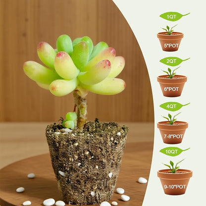 Omitgter Succulent and Cactus Soil Potting Mix 2qt-Premium Breathable & Fast Draining for Healthy Plants