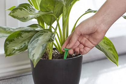 Miracle-Gro Indoor Plant Food Spikes, Plant Fertilizer, 1.1 oz., 24 Spikes/Pack (24-Pack)