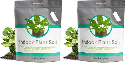 Perfect Plants Indoor Plant Soil 8qt | Perfectly Balanced Potting Mix | Gardening Substrate for All Varieties of Live houseplants (Pack of 2)