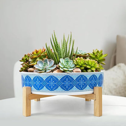ARTKETTY Succulent Pots - 11 Inch Large Plant Pots Ceramic Bonsai Pots with Drainage Stand, Shallow Succulent Planters for Indoor Plants Decorative Flower Cactus Planter Bowl