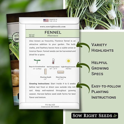 Sow Right Seeds - Florence Fennel Seed for Planting - Non-GMO Heirloom Packet with Instructions to Plant and Grow in Your Herbal Garden - Great for Seasoning and Cooking - Attract Pollinators (3)