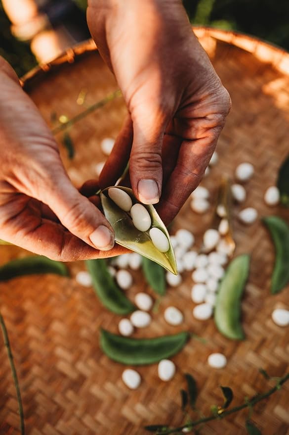 Henderson Bush Lima Bean - 4oz Bulk (~240 Seeds) - Heirloom White Butterbean Variety, USA-Grown, Non-GMO Baby Lima Bean Seeds for Planting Outdoors in The Home Garden, Thresh Seed Company