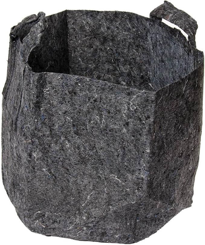 Root Pouch Degradable Pot Bundle of 10, 10 Gallon - 3-4 Year