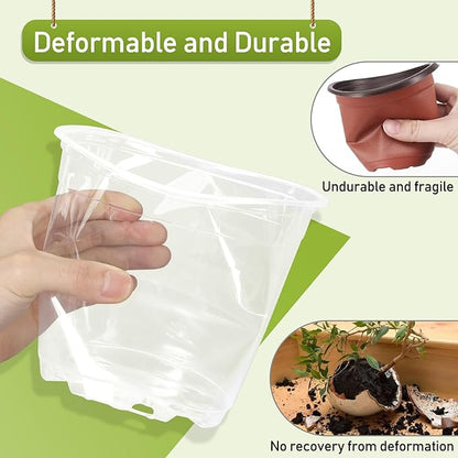 20 Pack 6 Inch Clear Nursery Pots,Plastic Transparent Plant Pot with Drainage Holes and Saucers,Plant Pot Seed Starter Pots for Succulents (6 Inch)