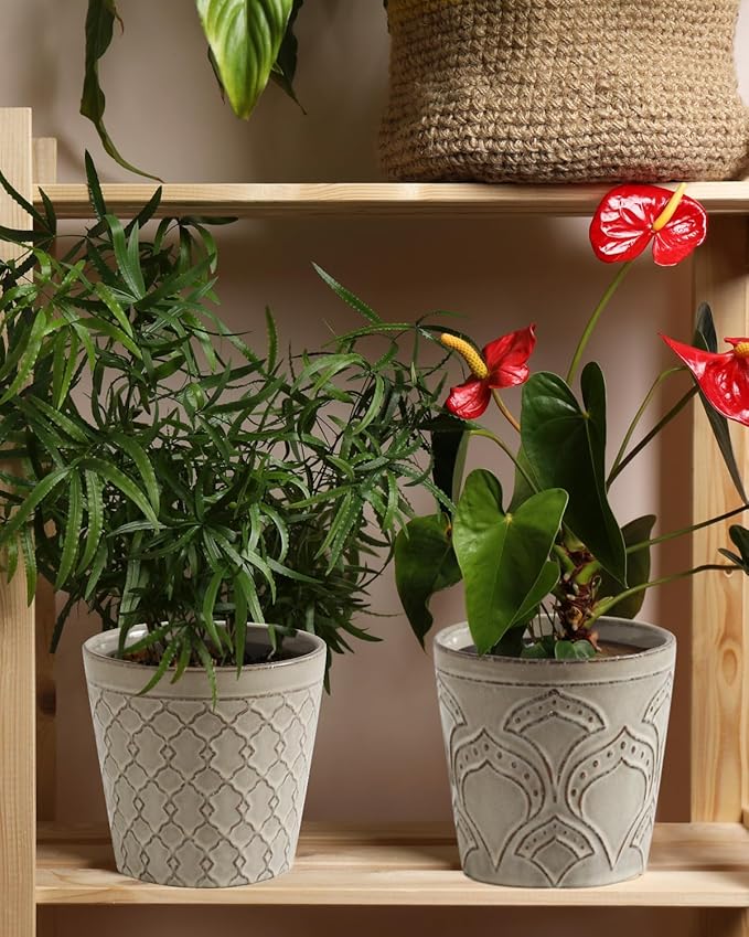 Plant Pots, Planters Pots for Indoor Plants 5.5 Inch Ceramic pots for Plant *2, Flower Pots with Drainage, Planters for Indoor Plants, Small Pots for Plant, Cement Gray