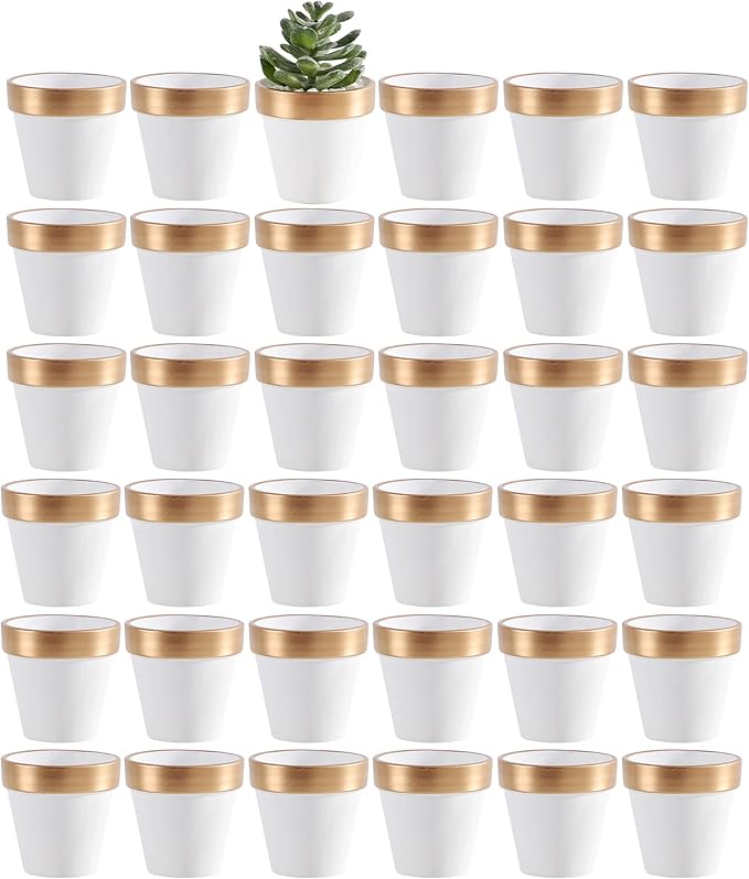 Yishang 36 pcs Small Mini White&Gold Clay Pots, 2.5'' Terracotta Pot Clay Ceramic Pottery Planter,Cactus Flower Terra Cotta Pots,Succulents Nursery Pots,with Drainage Hole, for Crafts,Wedding Favor