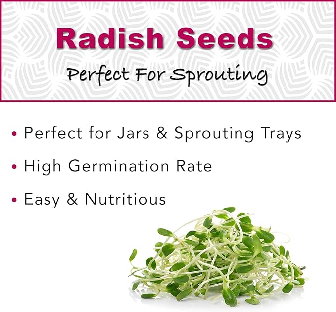 1 lb Radish Sprouting Seeds - Perfect for Sprouting & Microgreens - Healthy, Delicious, and Spicy - USA Grown