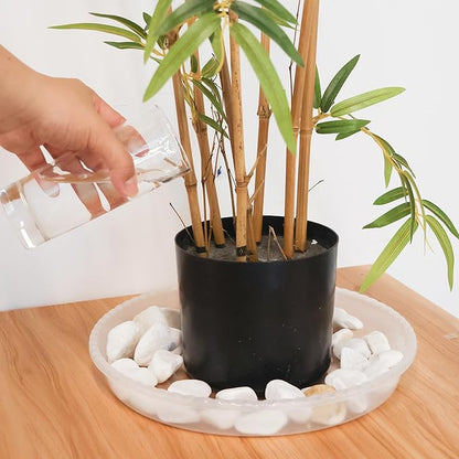 Plant Saucer 6 Pack of 12 inch, Drip Tray, Heavy-Duty Flower Pot Trays, Clear Flower Plant Pot Saucers for Indoor Outdoor, 12"