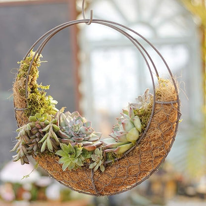 Firlar Round Wire Wreath Frame, Moon Shaped Metal Hanging Planter Plant Holder Flower Hanging Basket, Succulent Pot Decor Basket, Hanging Flower Stand Hanging Wall Plant Holder