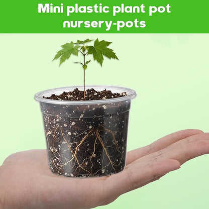 240 Pcs Clear Mini Plastic Plant Pot with Drainage Holes, 3 Inch Nursery Seedling Pots Seed Starter Round Plastic Pots for Succulent Plants Cuttings Transplanting, Indoor Outdoor Use