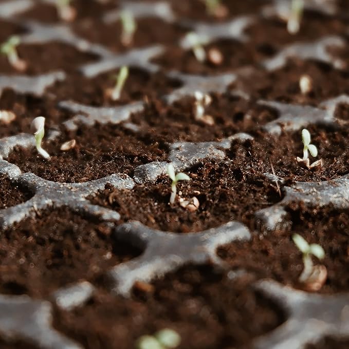 Coco Coir Brick for Plants- 27 Pack Coconut Coir Bricks Premium 100% Organic Peat Moss Mix with Low EC & pH Balance, Fiber Coconut Husk for Planting, Gardening, Potting Soil Substrate