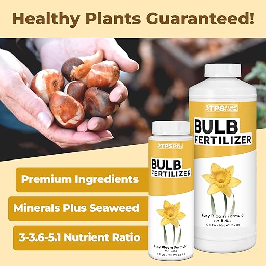 Bulb Fertilizer, Complete Liquid Bulb Plant Food for All Bulbous Plants, 8 oz (250mL)