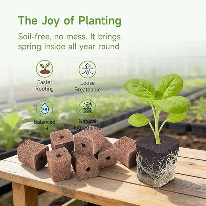 50 Pack Hydroponics Grow Sponges -Square Sponge Replacement Part Replacement Root Growth Sponge Seed Pods for Hydroponic Garden Indoor Growing System, Seed Starter Sponges Pod Kit