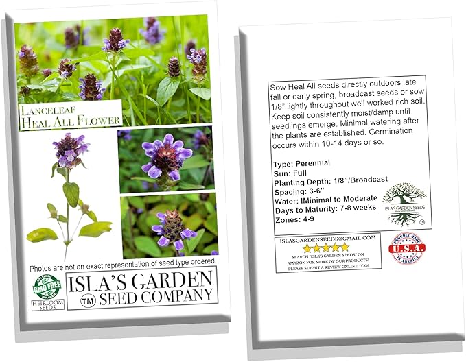 Lanceleaf Selfheal (Heal-All) Flower Seeds for Planting, 100+ Seeds Per Packet, (Isla's Garden Seeds), Non GMO & Heirloom Seeds, Scientific Name: Prunella Vulgaris, Great Home Garden Gift