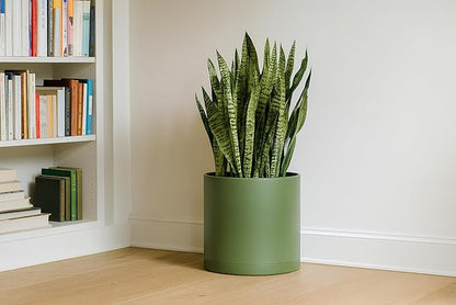 D'vine Dev 14 Inch Plastic Planter Pots for Plant Pot with Drainage Hole and Seamless Saucers, Olive, 74-X-I-4