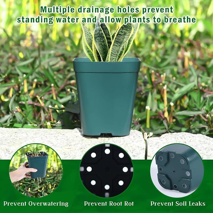June Fox Plastic Seedling Pots, 60 Pack Square Nursery Pots 4 Inch, Small Plant Pots with Drainage Holes for Seedlings, Succulents, Cuttings (Green)